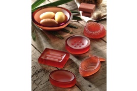 Coleção 2004 - Saboneteiras Peixe e coral